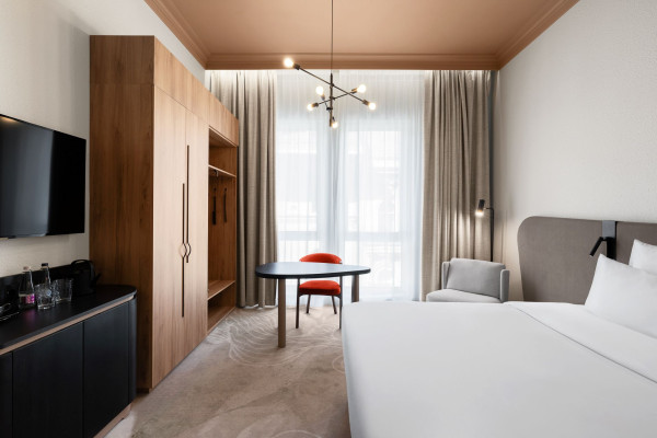 Standard Accessible Room with 1 double bed