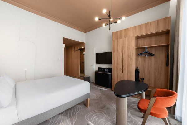 Standard Accessible Room with 1 double bed