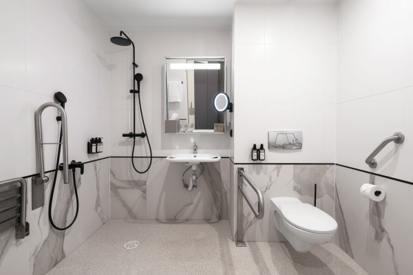 Standard Accessible Room with 1 double bed